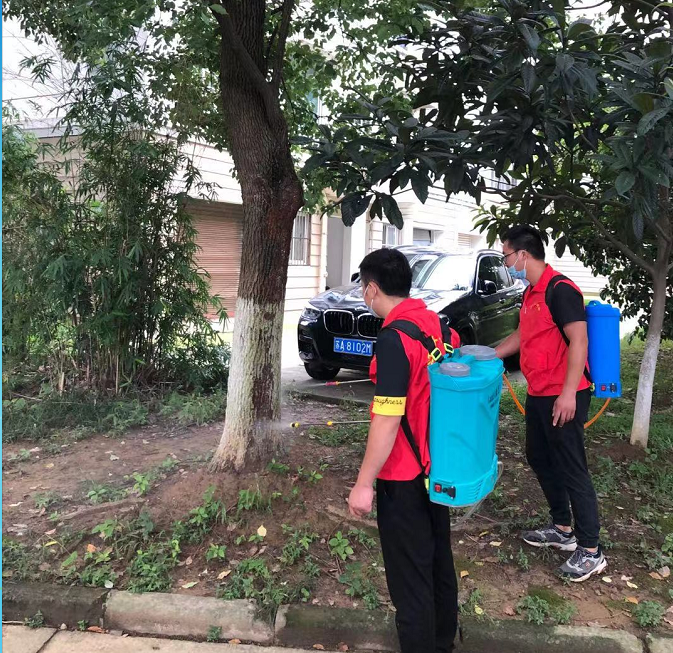 小区白蚁防治
