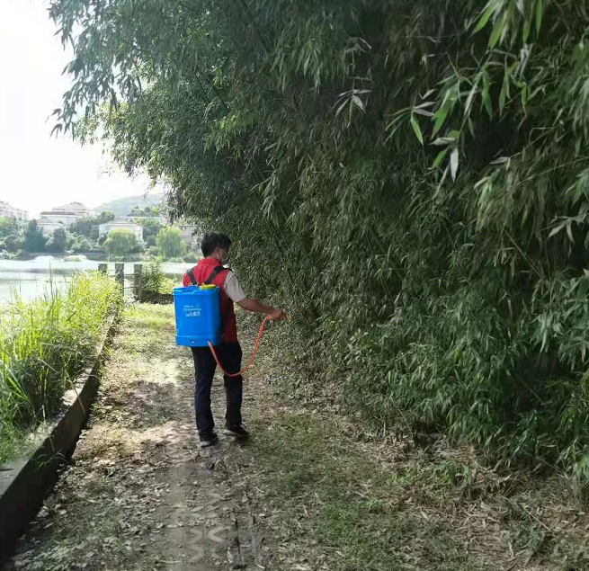 公园白蚁防治服务