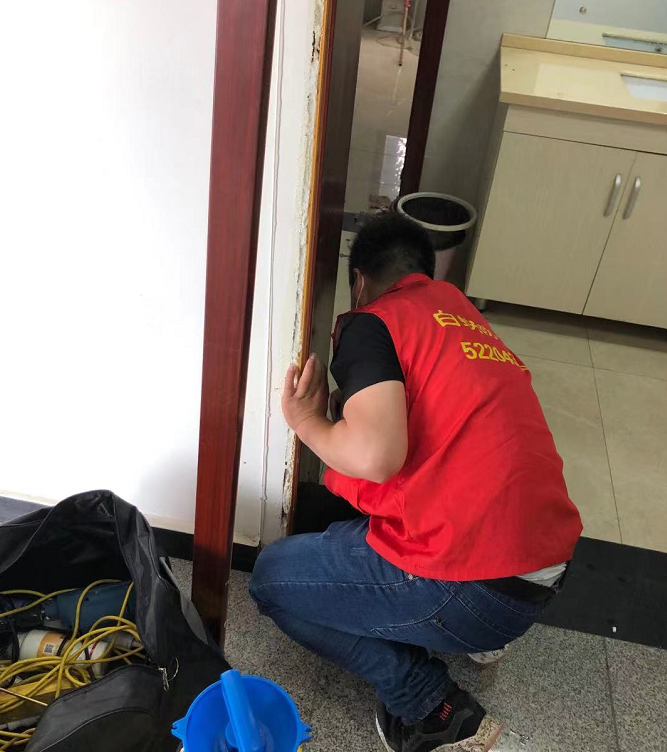 家庭白蚁防治